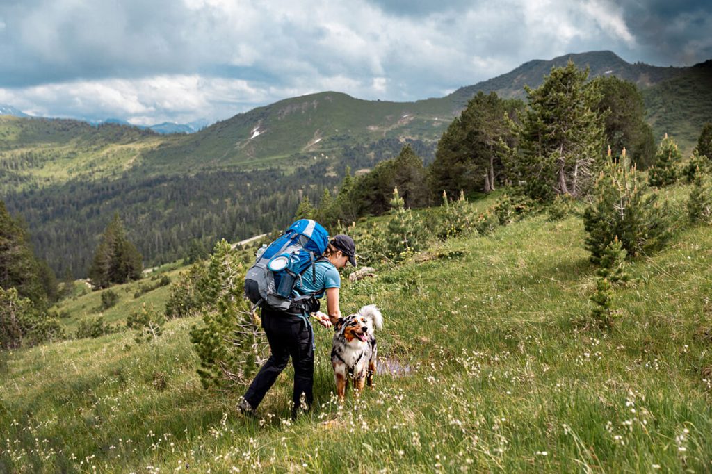 Australian Shepherd Hund mit Mensch wandern in den Bergen. 