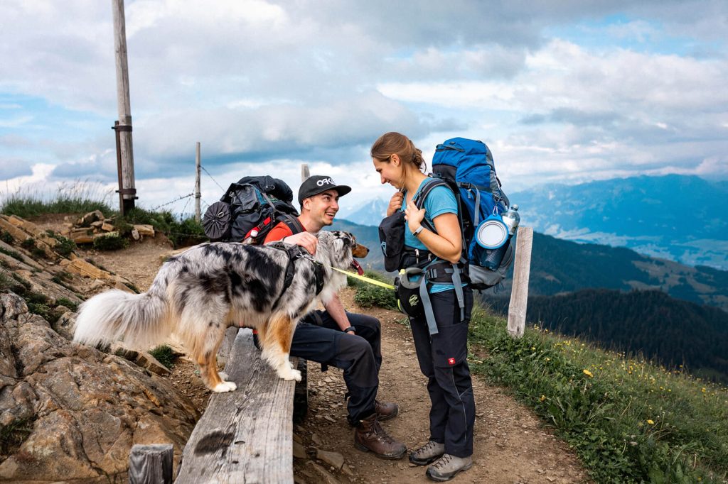 Australian Shepherd Hund steht auf einer Holzbank hinter dem Gipfelkreuz mit zwei Wanderer mit Rucksack.