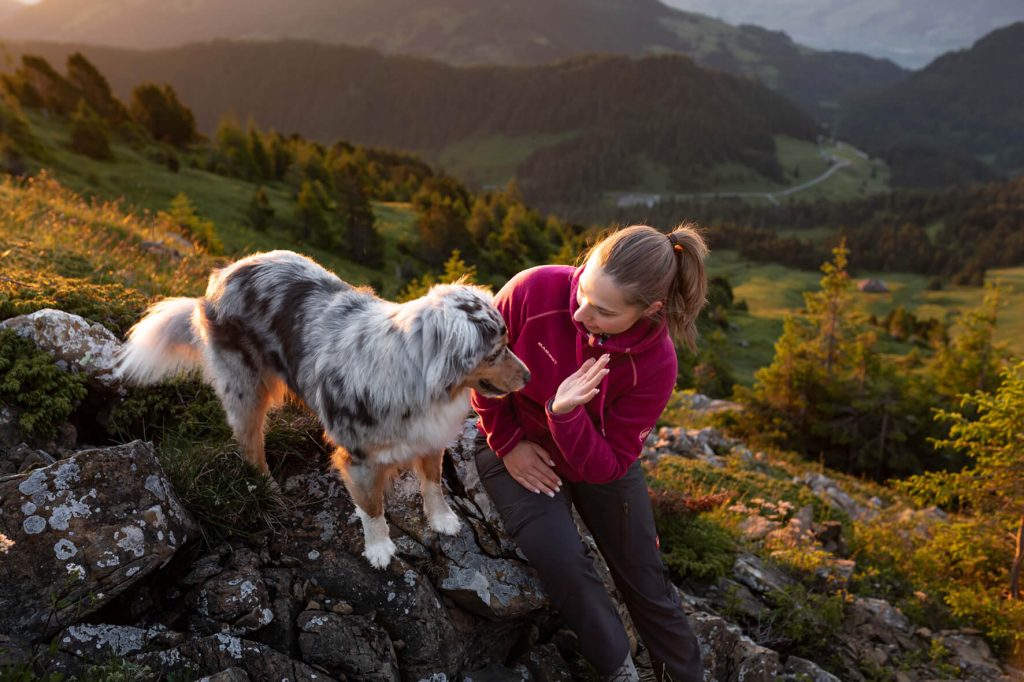 Australian Shepherd und Mensch geben eine High Five in der Moorlandschaft Glaubenberg im Kanton Obwalden. 