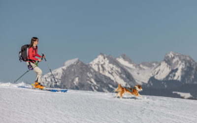 Skitouren Fotoshooting mit Kooikerhondje ‹Kaimie›