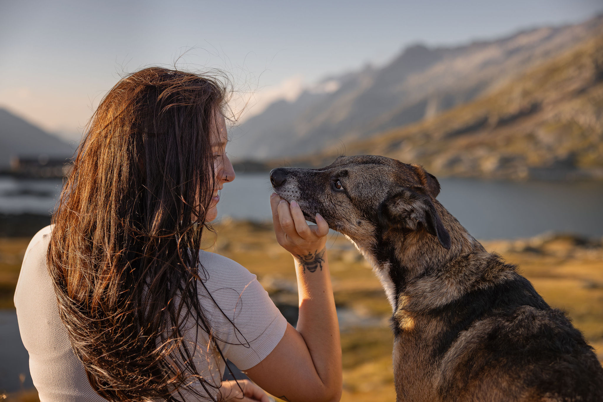 Ein Hund bekommt einen Keks für das Mitmachen bei einem Fotoshooting von seinem Menschen.