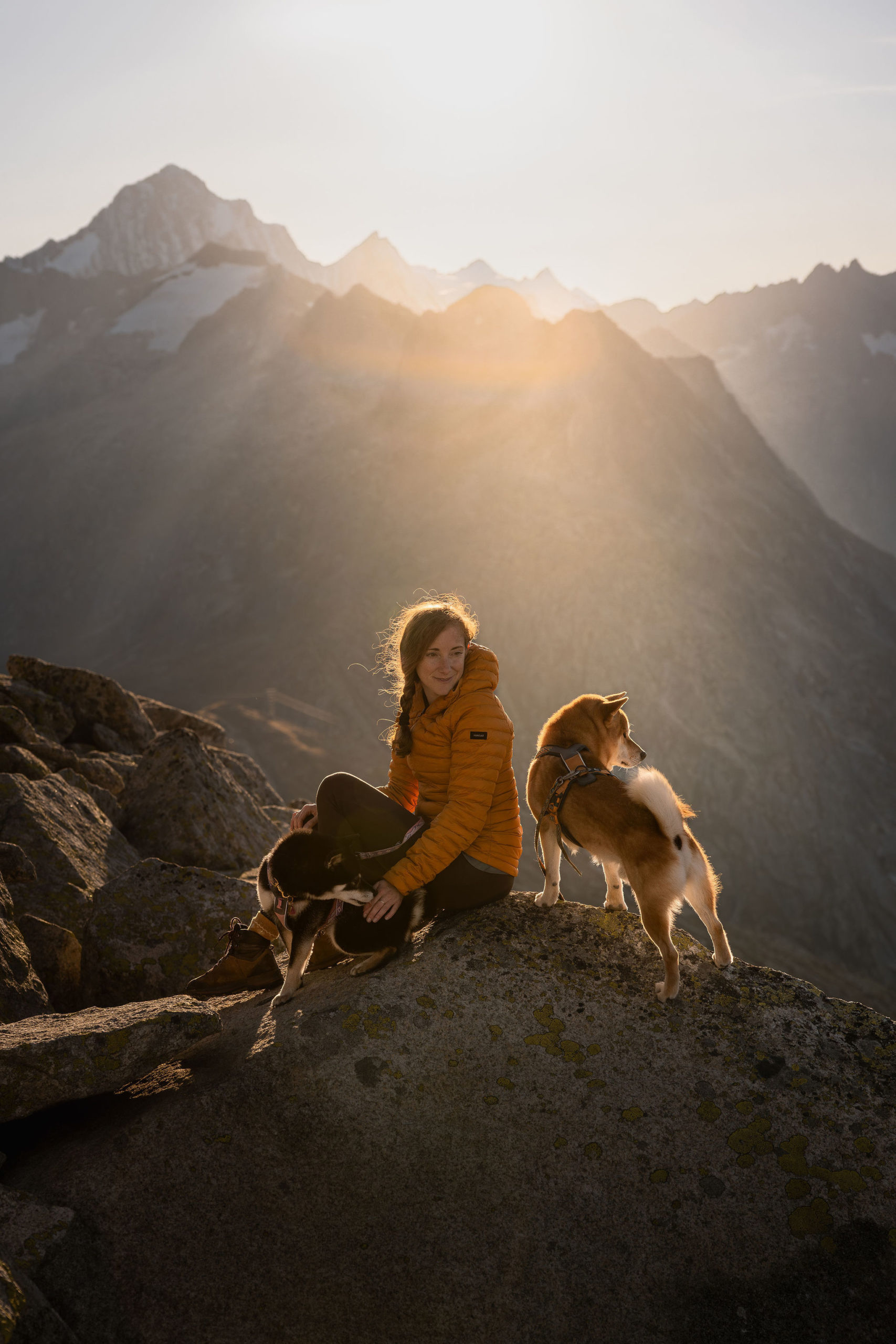 Hundefotoshooting mit zwei Shiba Inu am Grimselpass im Herbst in den Schweizer Alpen.