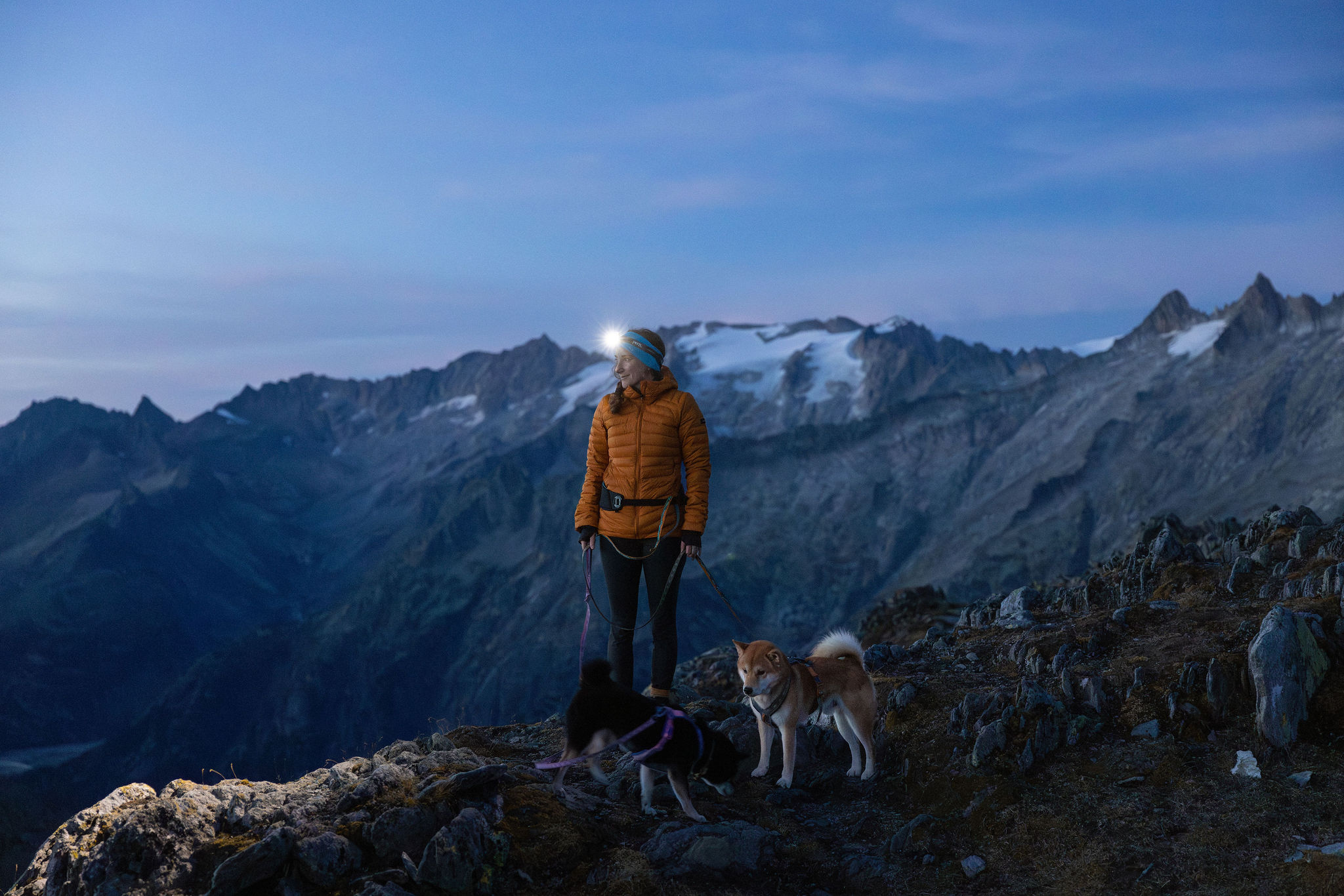 Hundefotoshooting mit zwei Shiba Inu am Grimselpass im Herbst in den Schweizer Alpen. Die weissen Gletscher leuchten in der Dämmerung