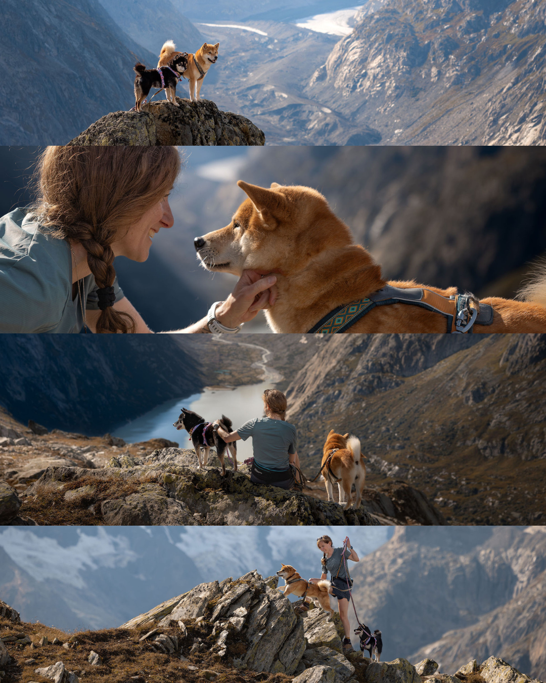 Hundefotoshooting mit zwei Shiba Inu am Grimselpass im Herbst in den Schweizer Alpen.