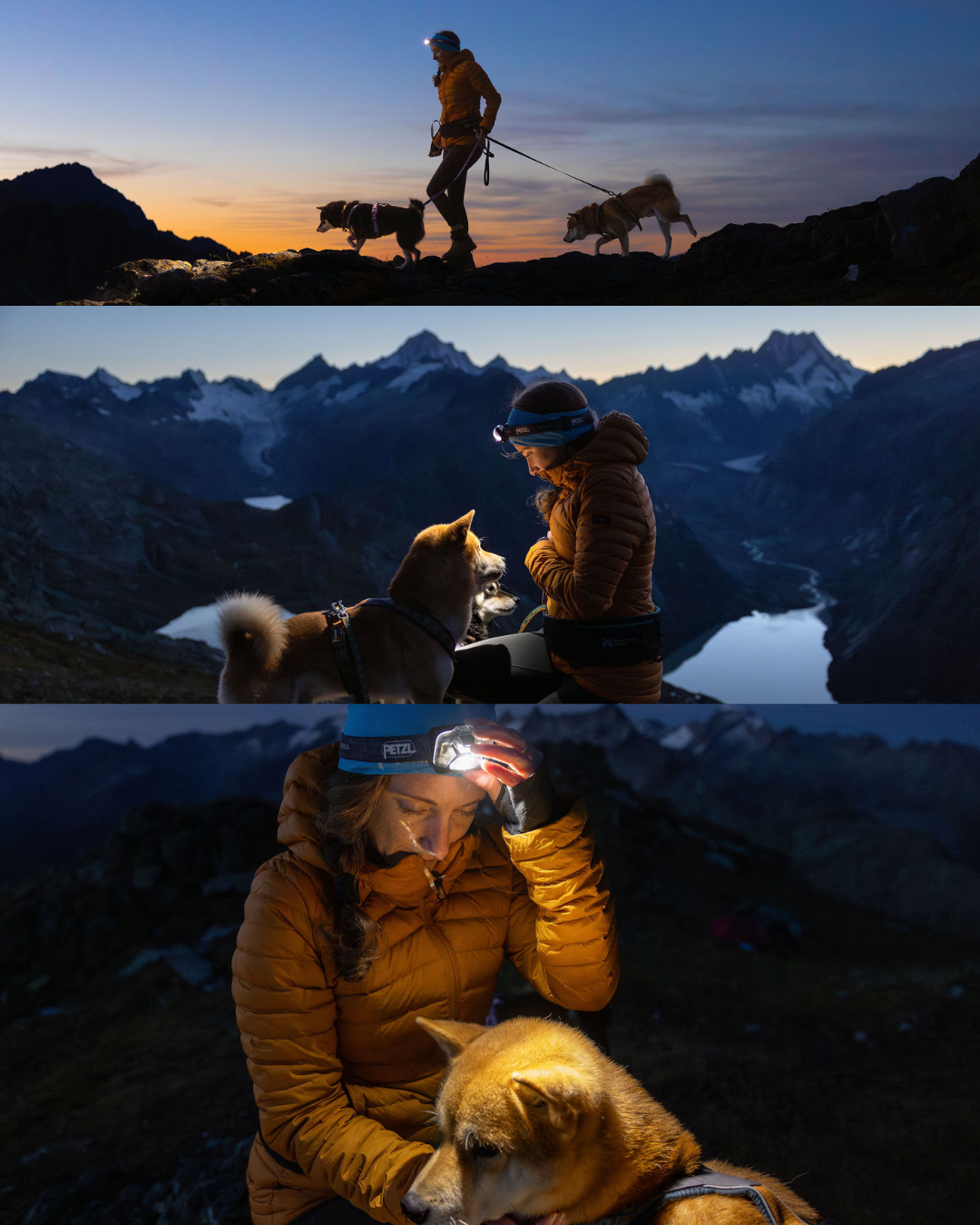Hundefotoshooting mit zwei Shiba Inu am Grimselpass im Herbst in den Schweizer Alpen.